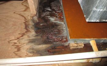 AC Leak Restoration in Hermitage, Tennessee by Emergency Response Team