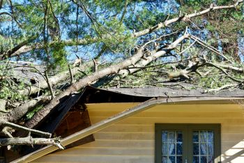 Tiny Town, Kentucky Fallen Tree Damage Restoration by Emergency Response Team